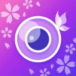 youcam perfect photo editor